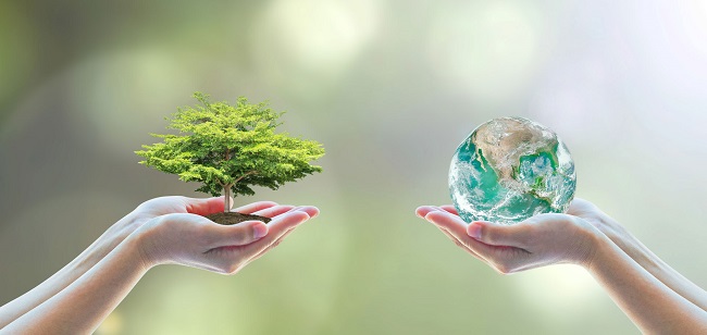 điện to&aacute;n đ&aacute;m m&acirc;y