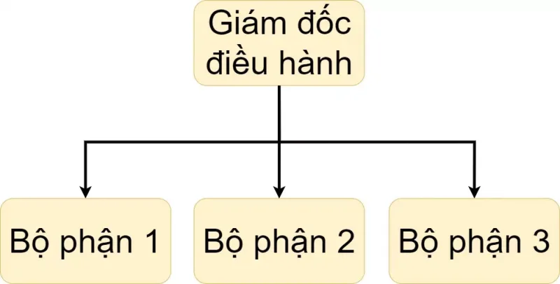 M&ocirc; h&igrave;nh tổ chức c&ocirc;ng ty đơn giản cho doanh nghiệp nhỏ