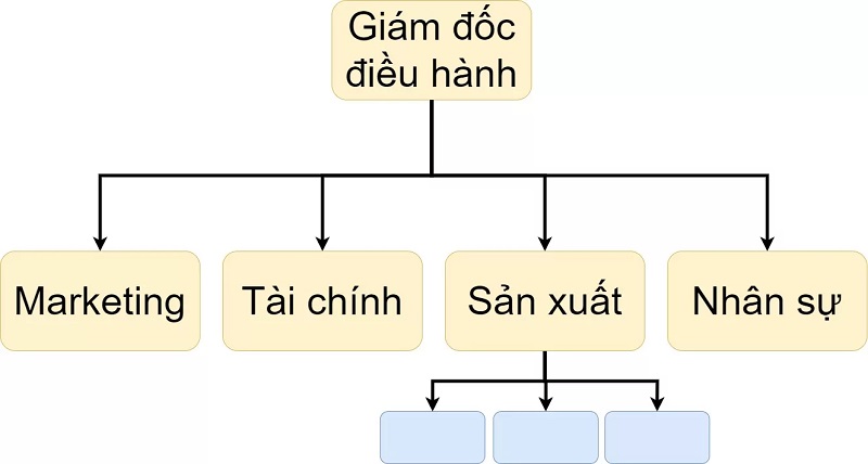cơ cấu tổ chức c&ocirc;ng ty theo chức năng