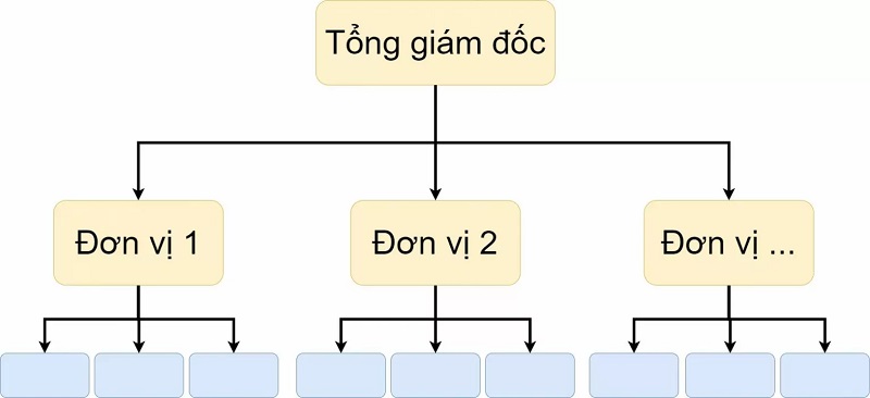 Cơ cấu tổ chức c&ocirc;ng ty độc lập