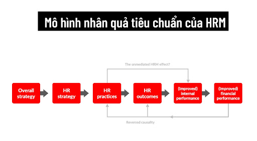 M&ocirc; h&igrave;nh nh&acirc;n quả ti&ecirc;u chuẩn HRM