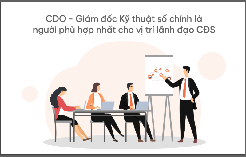 l&atilde;nh đạo chuyển đổi số CDO