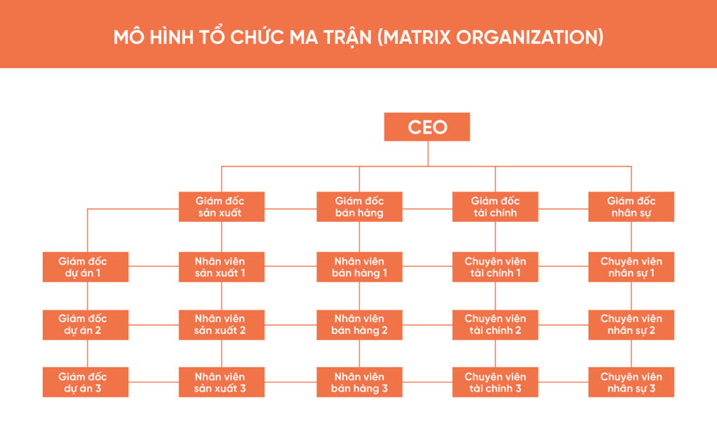 m&ocirc; h&igrave;nh cơ cấu tổ chức doanh nghiệp dễ d&agrave;ng