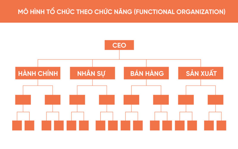 m&ocirc; h&igrave;nh cơ cấu tổ chức doanh nghiệp hiệu quả