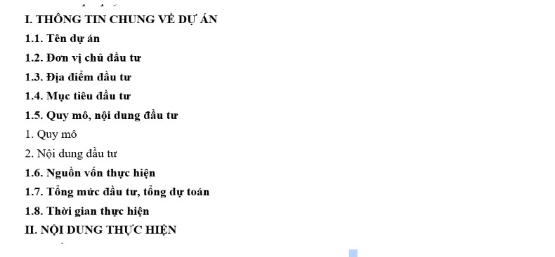 B&aacute;o c&aacute;o dự &aacute;n cuối năm