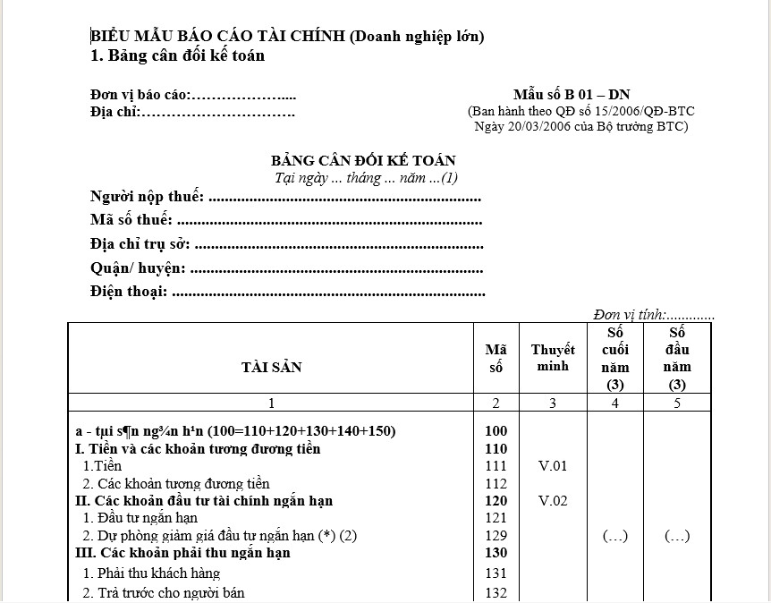 Mẫu b&aacute;o c&aacute;o t&agrave;i ch&iacute;nh cuối năm