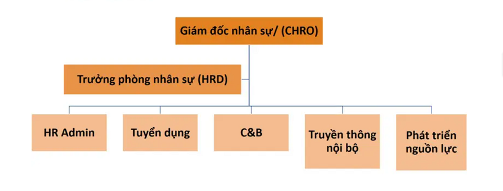 sơ đồ quản trị doanh nghiệp