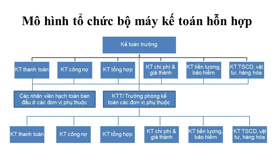 V&iacute; dụ: Sơ đồ tổ chức bộ m&aacute;y kế to&aacute;n kết hợp tập trung v&agrave; ph&acirc;n t&aacute;n