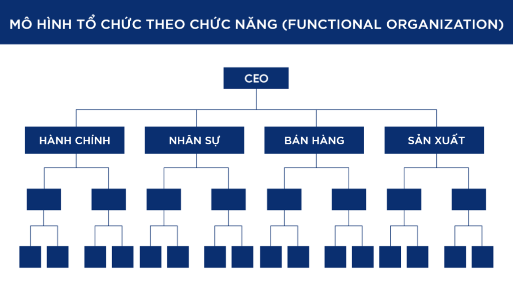 V&iacute; dụ: Sơ đồ tổ chức bộ m&aacute;y kế to&aacute;n theo chức năng