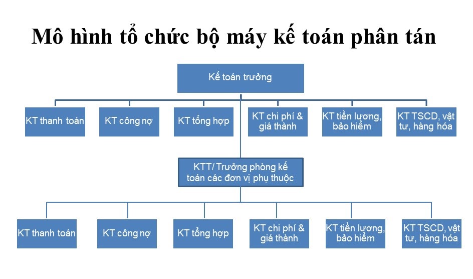 V&iacute; dụ: Sơ đồ tổ chức bộ m&aacute;y kế to&aacute;n ph&acirc;n t&aacute;n