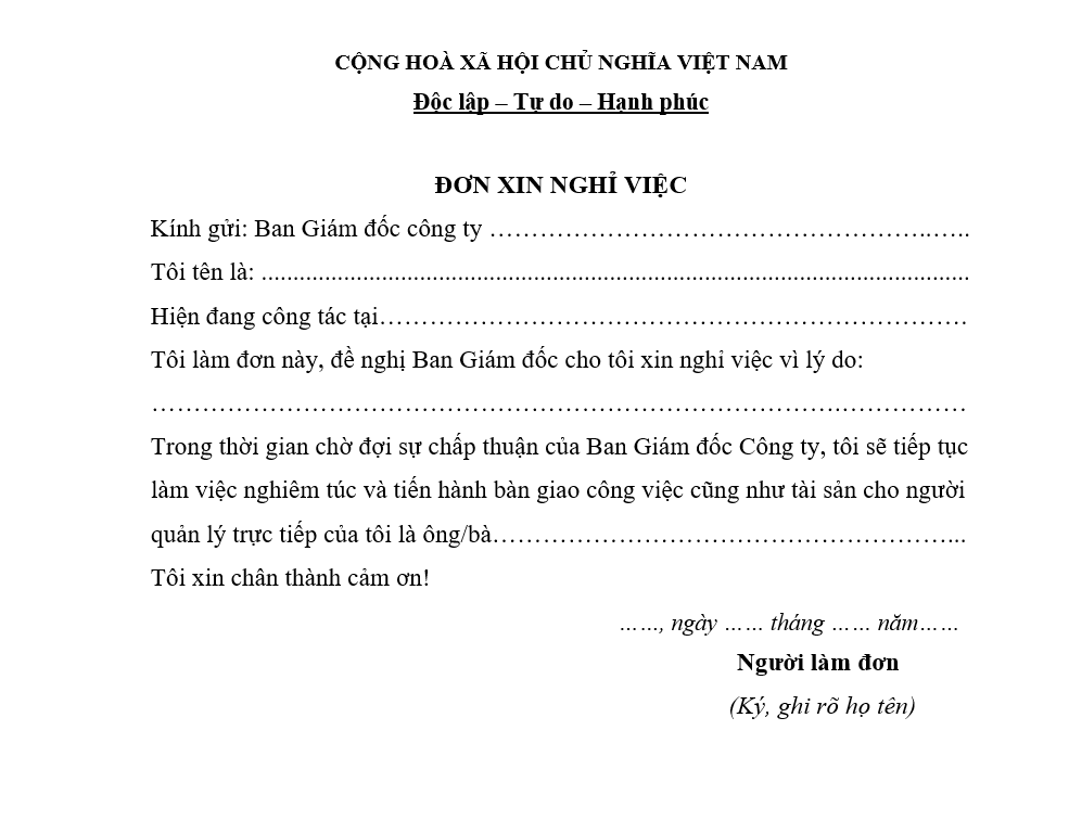 Mẫu đơn xin nghỉ việc số 3