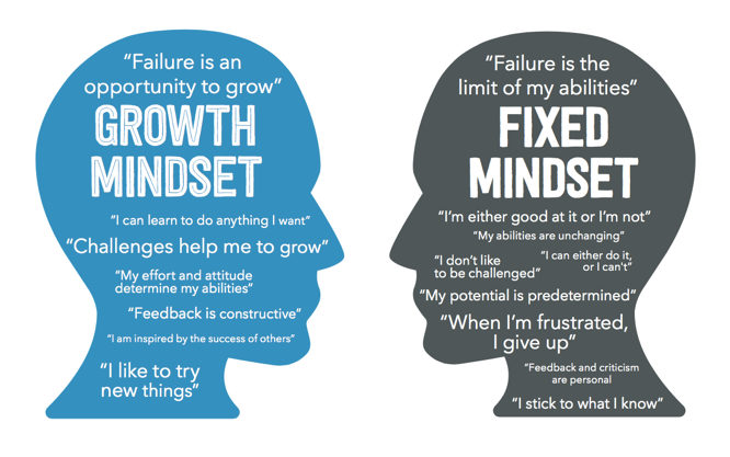 Những loại mindset phổ biến