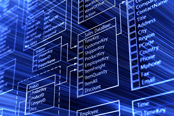 Database l&agrave; g&igrave;?
